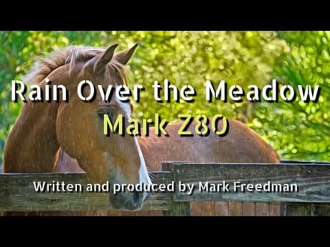 Rain Over the Meadow (Mark Z80)